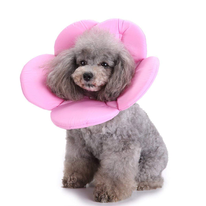 Adjustable Comfort Pet E-Collar for Healing