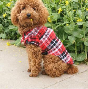 Pet Clothing, Pet Shirt, Checkered Shirt