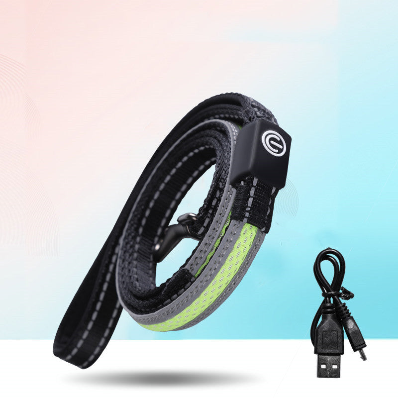 USB Rechargeable LED Dog Collar for Night Walks