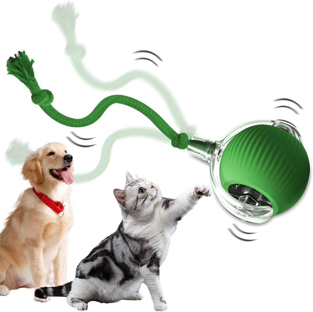 KDIRST 2025 New Interactive Cat Toys Balls Motion Activate Fast Rolling on Carpet Toys Interactive Dog Smart Ball Toy Interactive Cat Ball Toy Interactive Self Moving Balls Toys (Green)