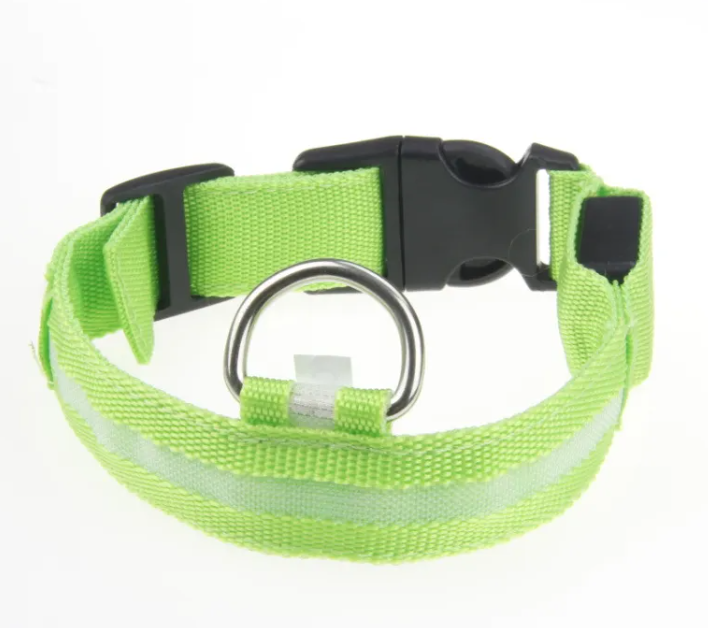 LED Dog Collar