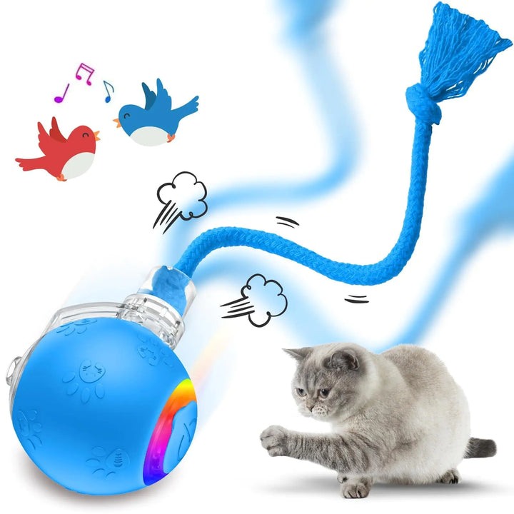 ChirpyBird: Interactive USB Rechargeable Cat Ball
