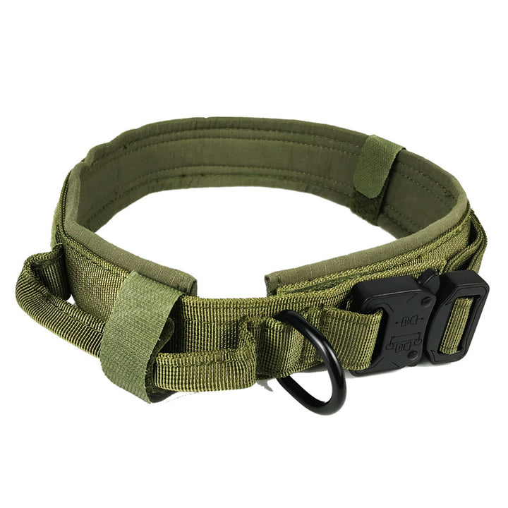 Dog Collar