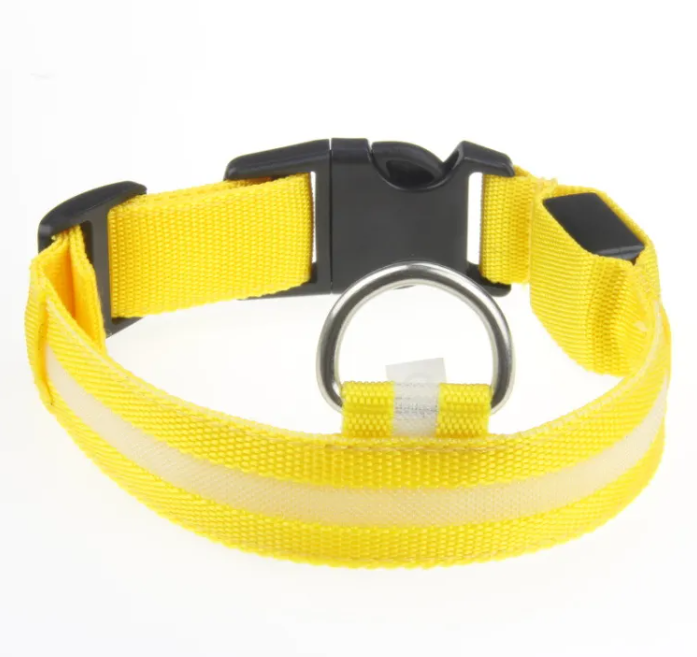 LED Dog Collar