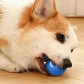 PuppySpinner Interactive Dog Ball