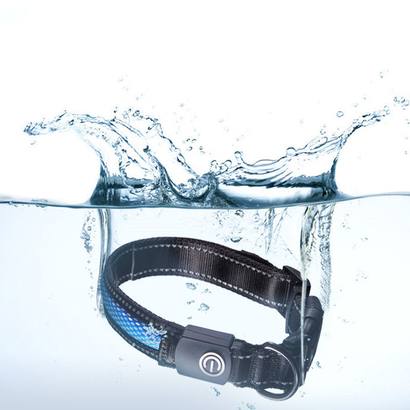 USB Rechargeable LED Dog Collar for Night Walks