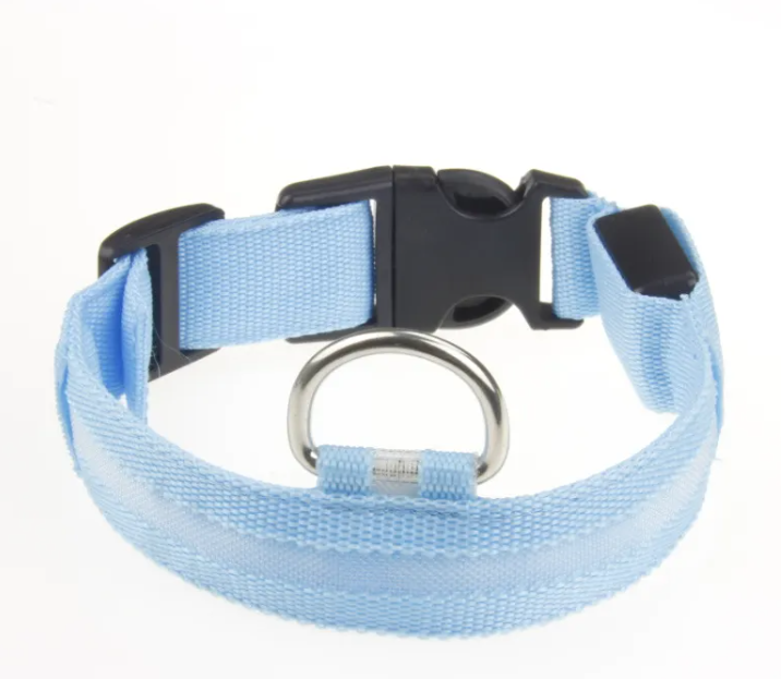LED Dog Collar