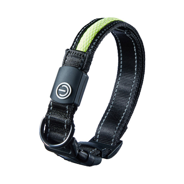 USB Rechargeable LED Dog Collar for Night Walks