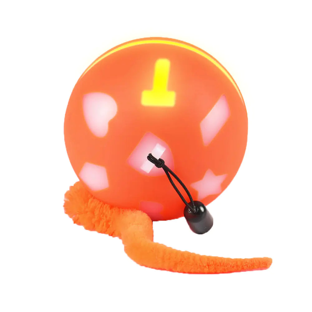 Smart Play Rolling Ball for Pets