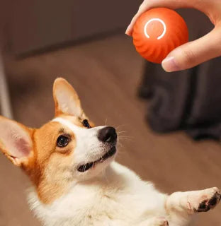 PuppySpinner Interactive Dog Ball