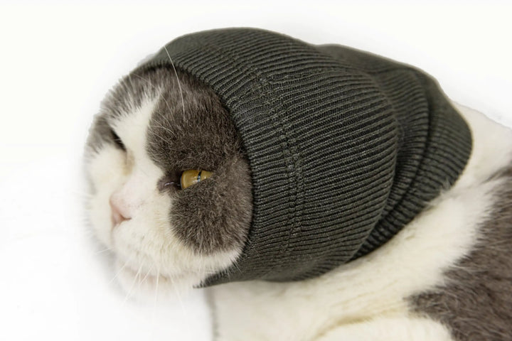 CalmKitty Hematoma Ear Wrap