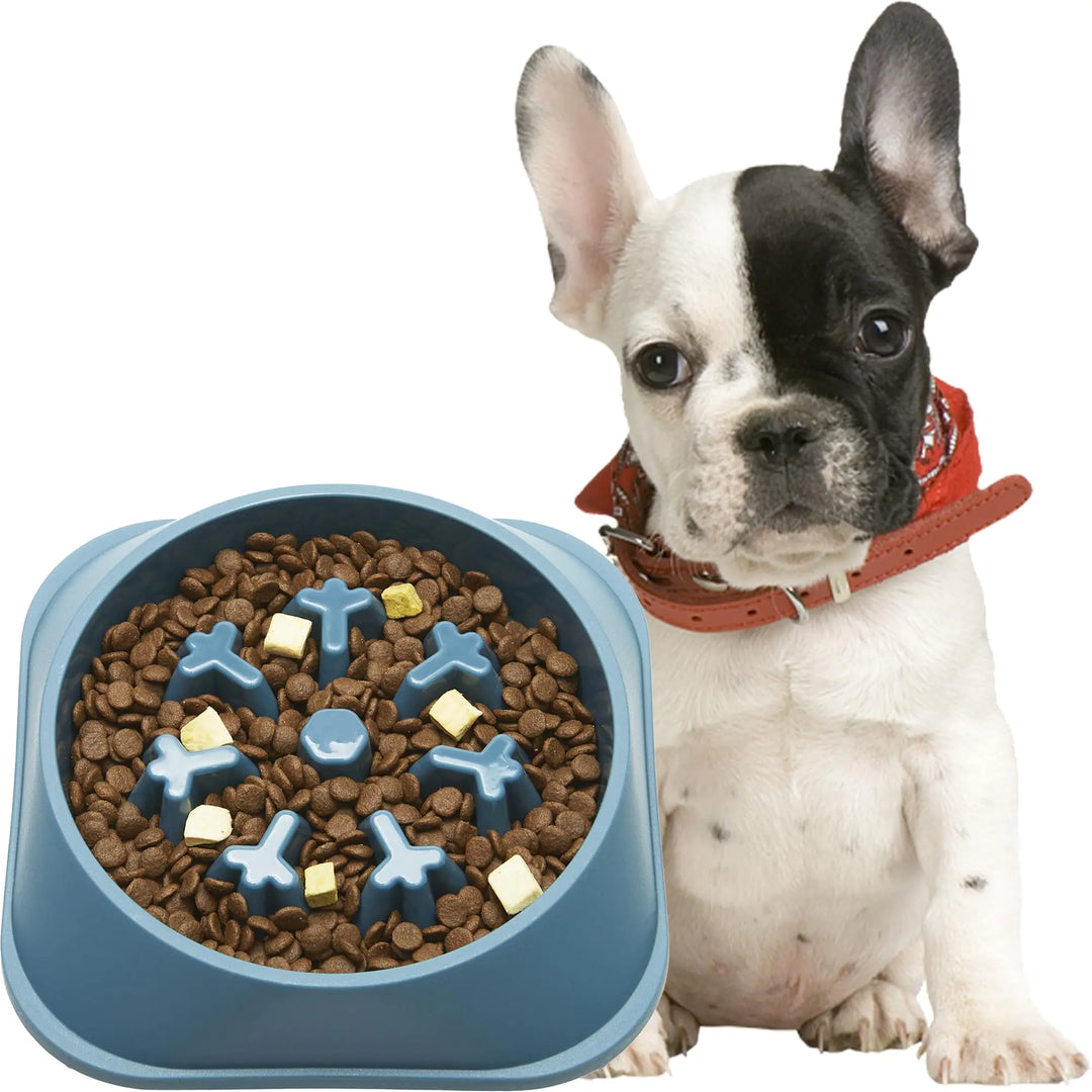 PaceFeeder Slow Eating Dog Bowl