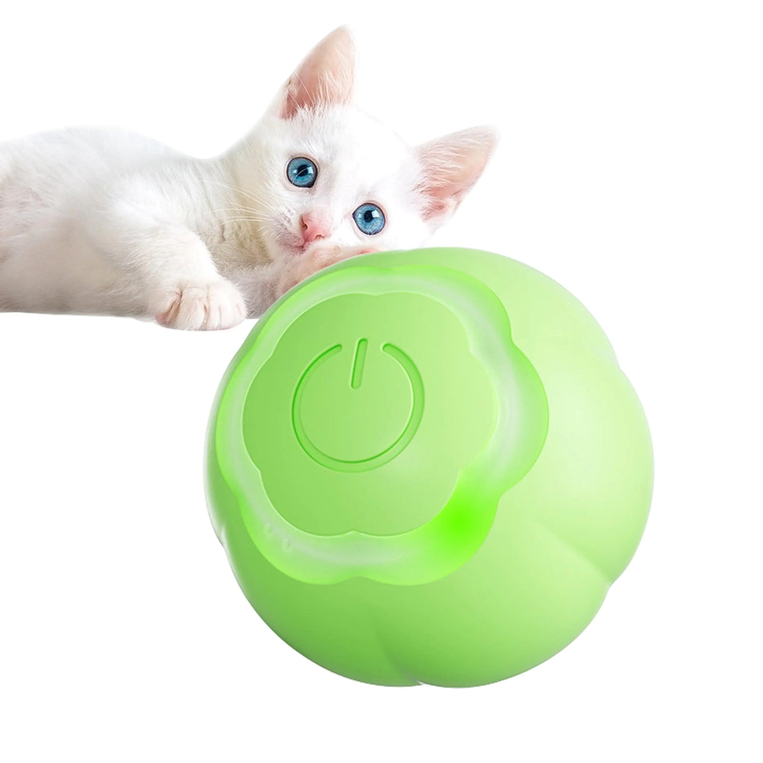 NovaPlay LED Cat Ball