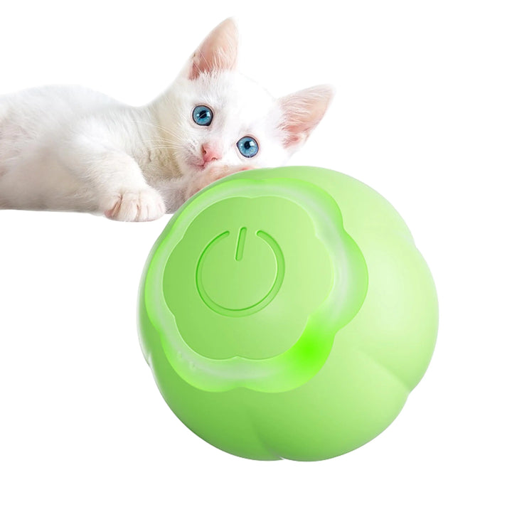 NovaPlay LED Cat Ball