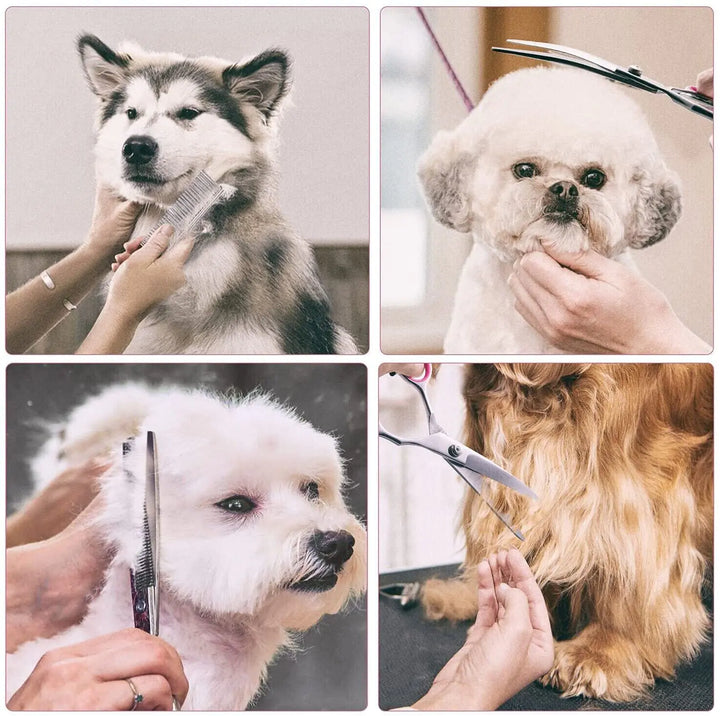 Complete Pet Grooming Scissor Set