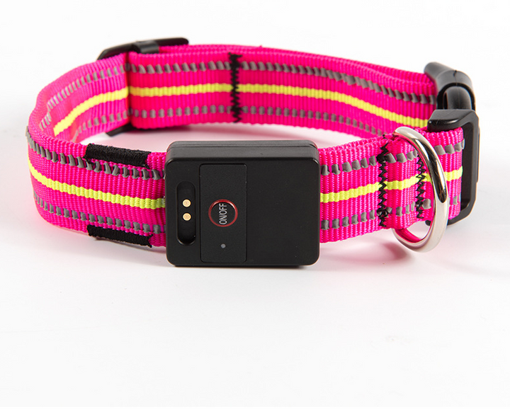 LED Dog Collar with Reflective Strips