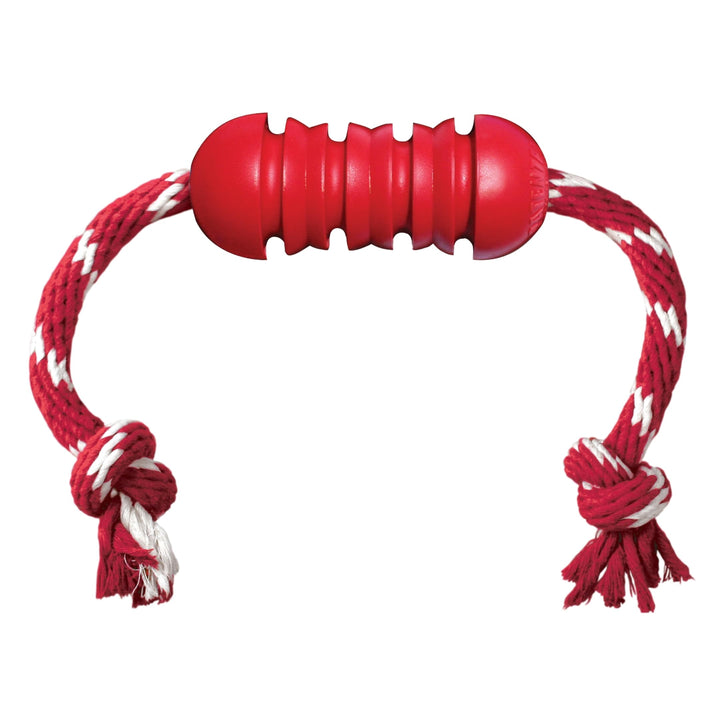 KONG Chew-n-Clean Rope Toy for Medium Dogs