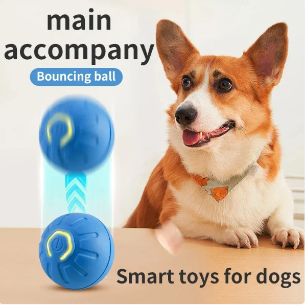 Pet Play Ball
