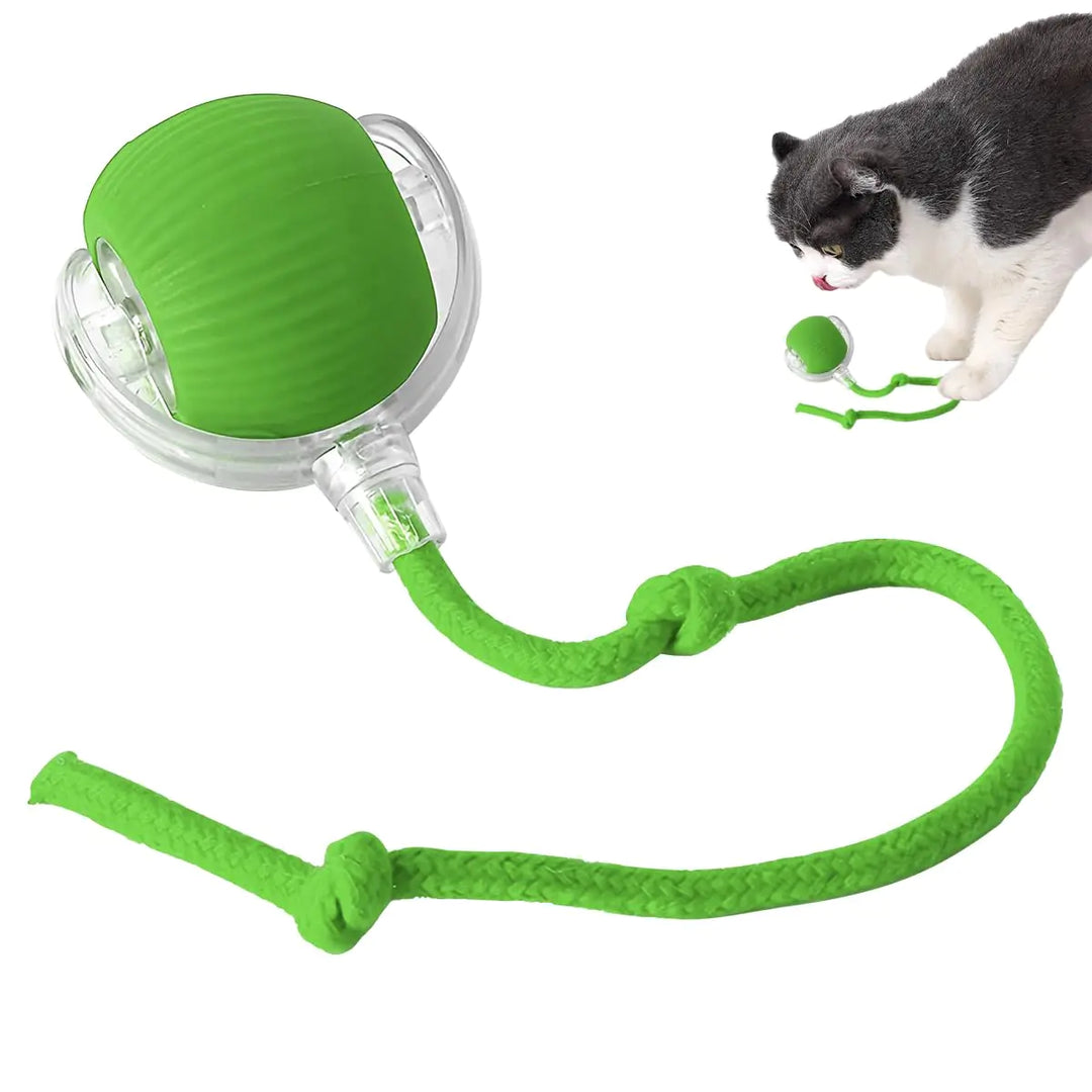 Interactive Cat Roller 2024 - Self-Rotating Smart Ball