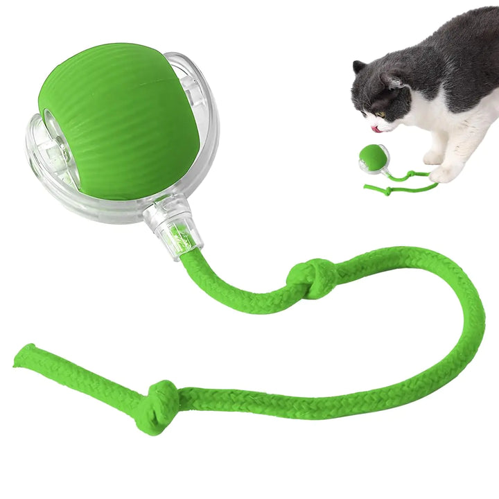 Interactive Cat Roller 2024 - Self-Rotating Smart Ball