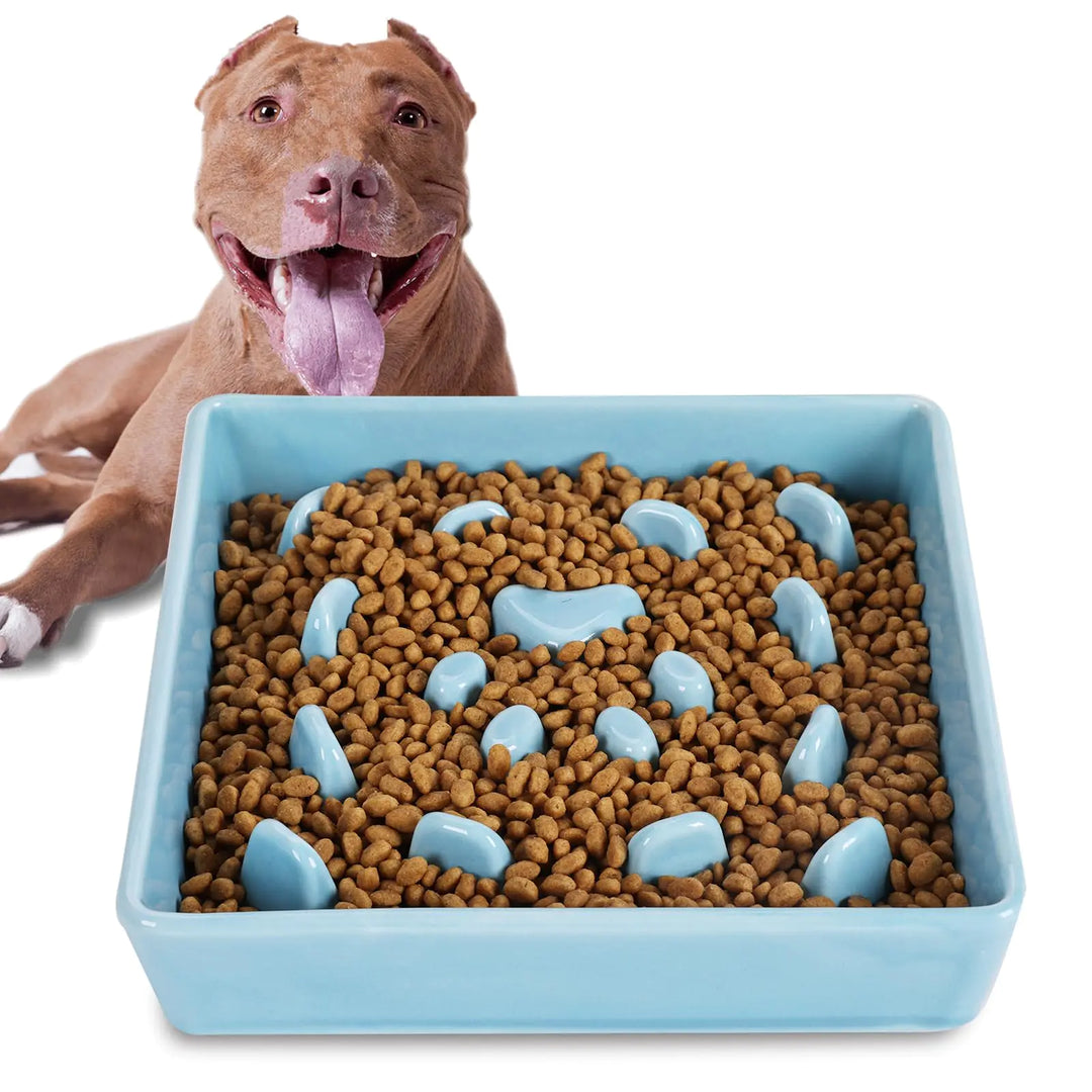 Square Ceramic Slow Feeder Bowl (Turquoise)