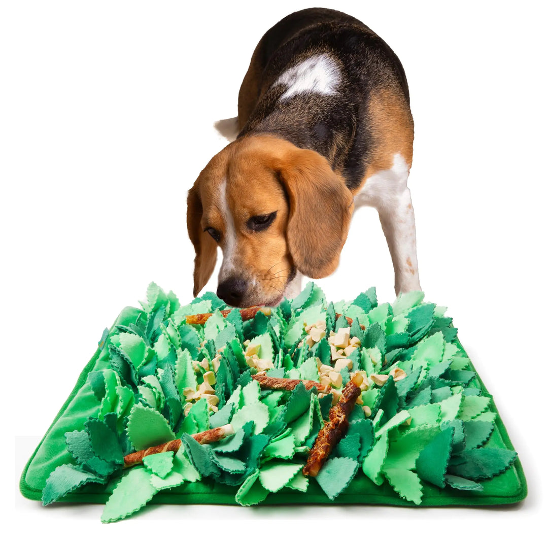 Snuffle Hide &amp; Seek Mat for Dogs and Cats
