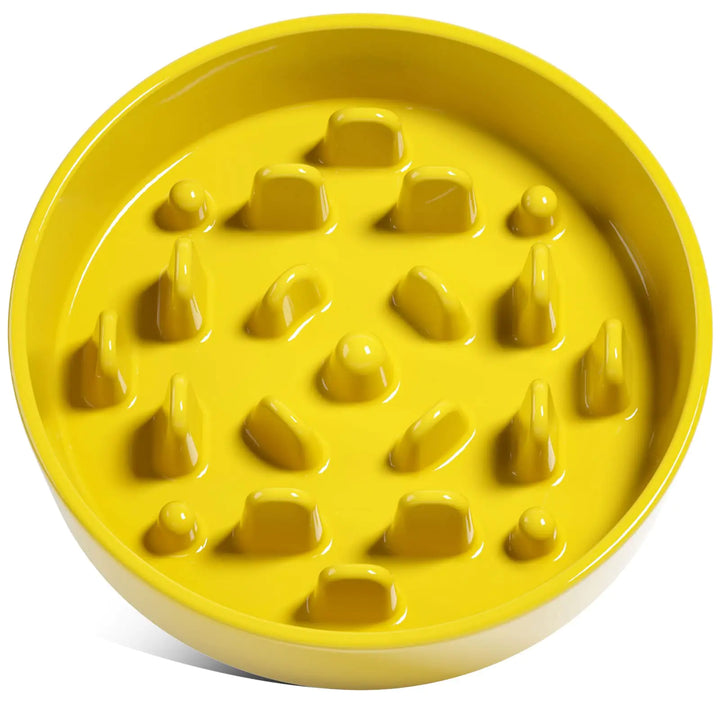 Ceramic Puzzle Slow Feeder for Dogs 1.5 Cups